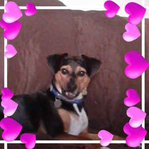 Meet your Posher, Cindy